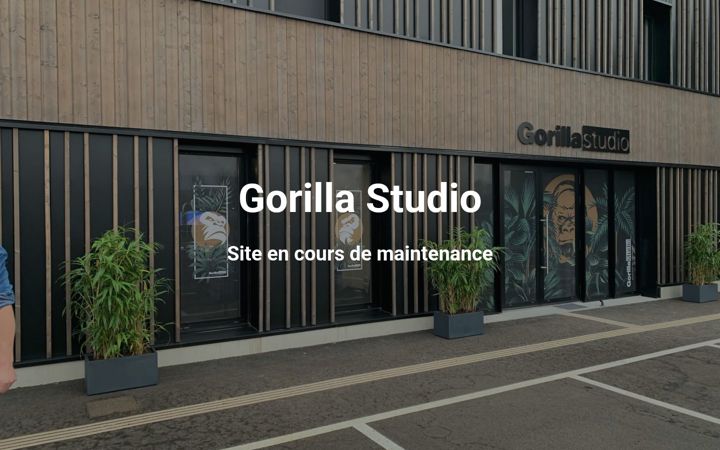 Screenshot of gorilla-studio.live