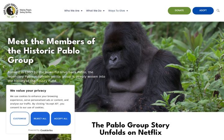 Screenshot of gorillafund.org