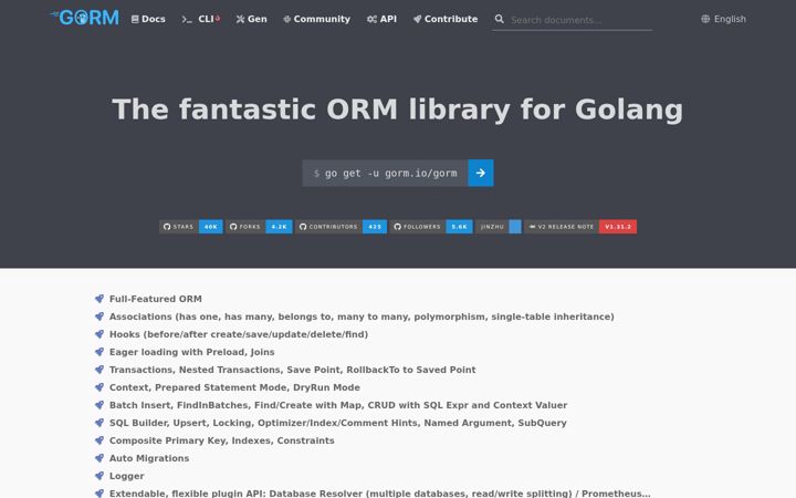 Screenshot of gorm.io