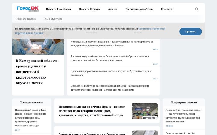 Snímek obrazovky gorodok.bz