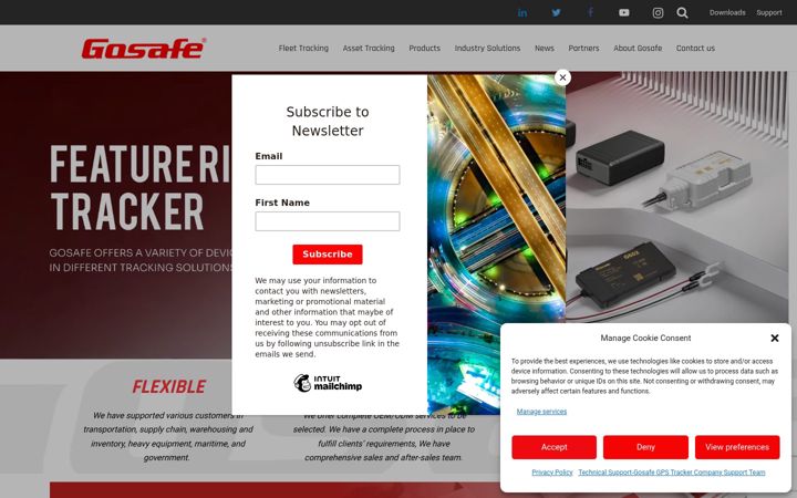 Screenshot of gosafesystem.com