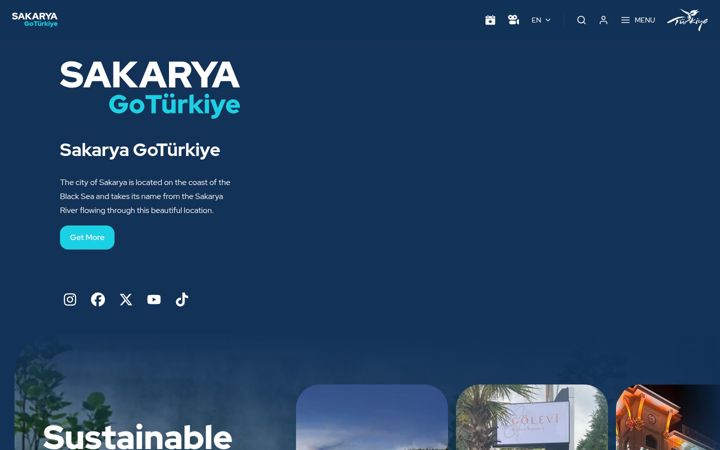 Screenshot of gosakaryaturkiye.com