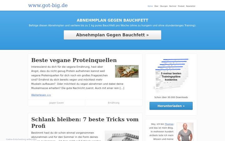 Screenshot of got-big.de