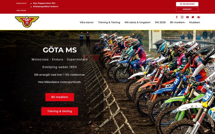 Screenshot of gotams.se