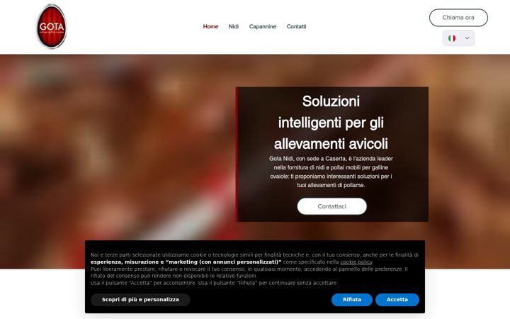 Screenshot of gotanidi.it