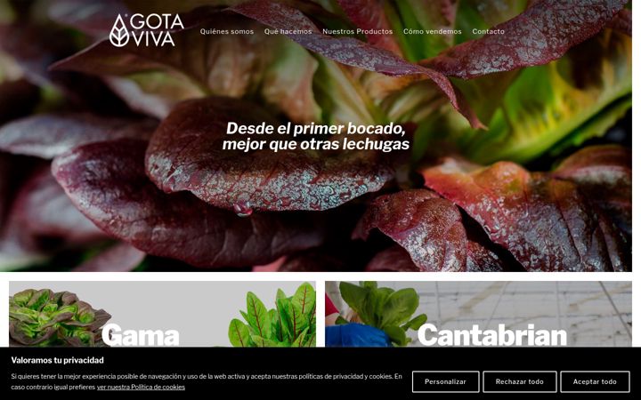 Screenshot of gotaviva.es