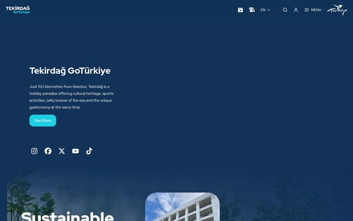 Screenshot of gotekirdagturkiye.com