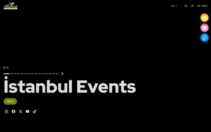 Ekraanipilt saidist goturkiye.com