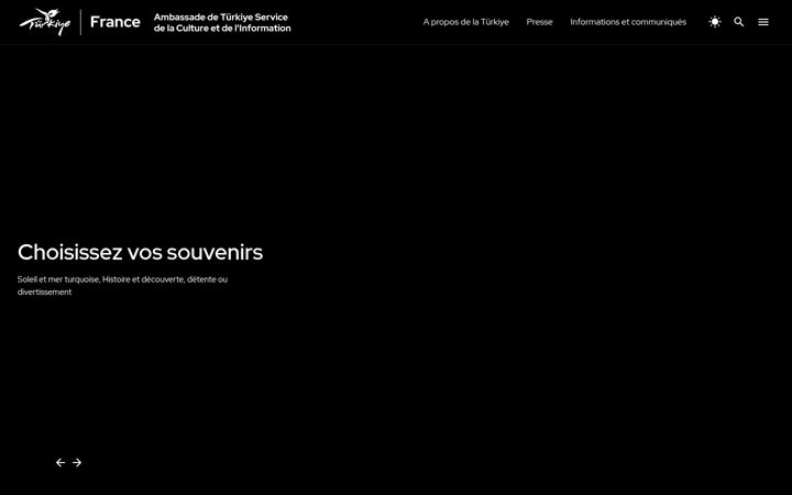 Screenshot of goturkiye.fr