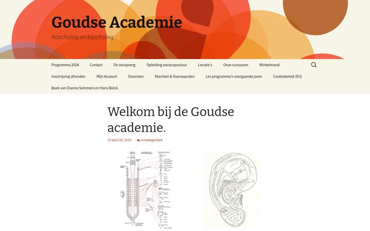 Screenshot of goudseacademie.eu