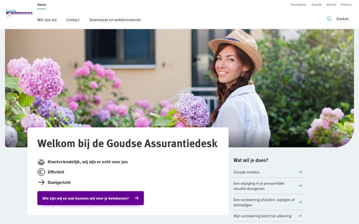 Screenshot of goudseassurantiedesk.nl