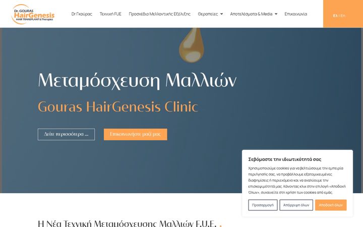 Screenshot of gouras.gr