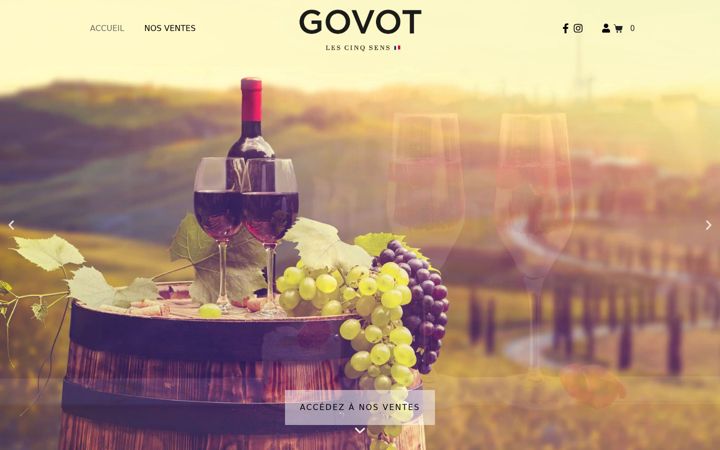 Screenshot of govotfivesenses.com