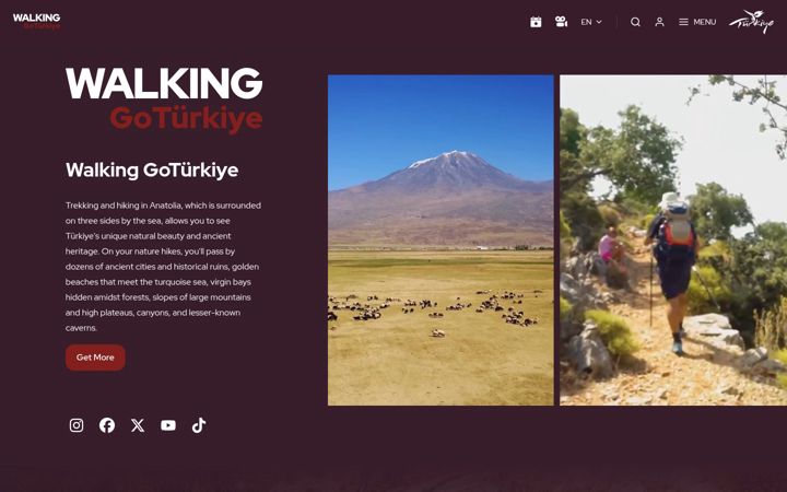 Screenshot of gowalkingturkiye.com