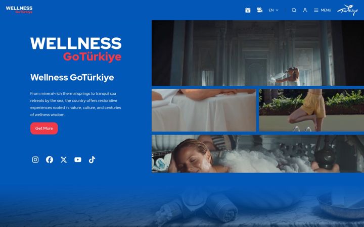 Screenshot of gowellnessturkiye.com