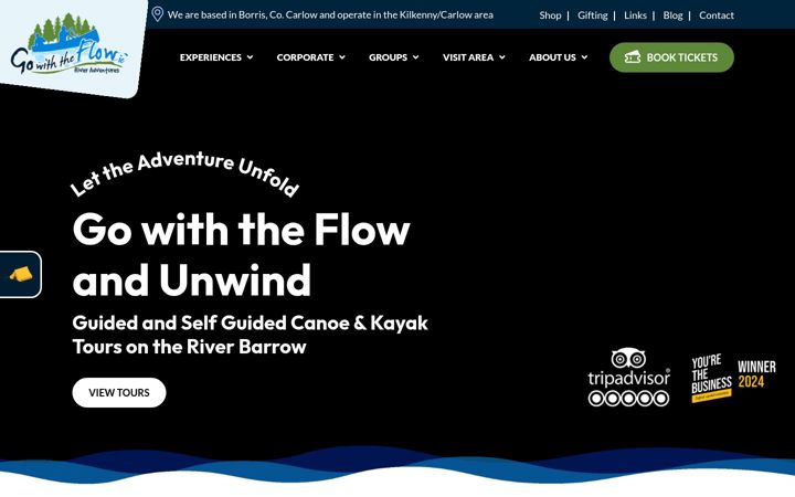Screenshot of gowiththeflow.ie