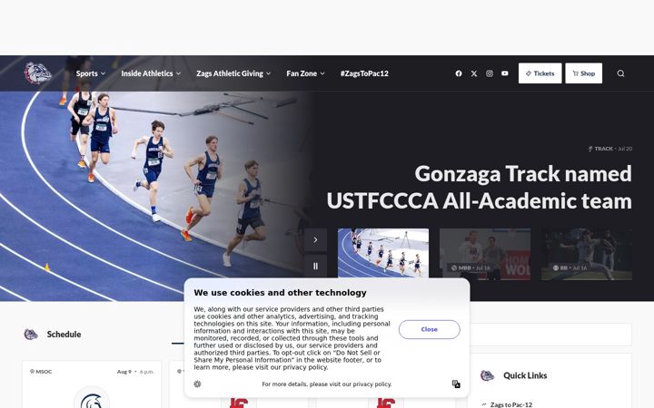 Zrzut ekranu gozags.com