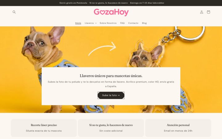 Screenshot of gozahoy.com
