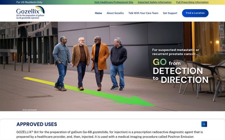 Screenshot of gozellix.com