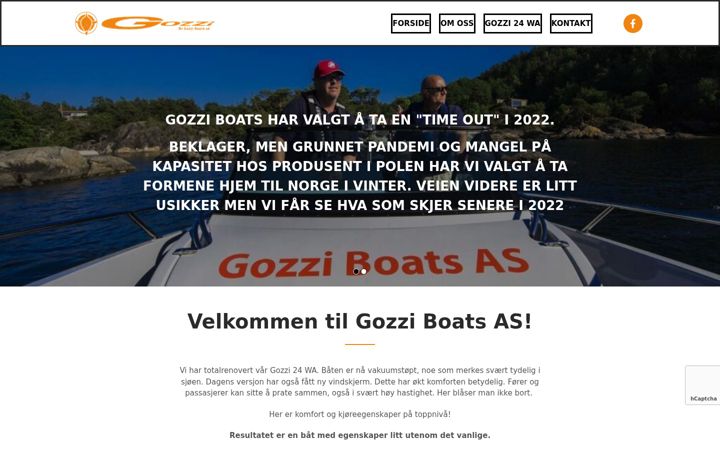 Screenshot of gozzi.no
