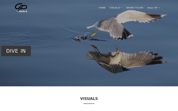 Screenshot of gp-visuals.com