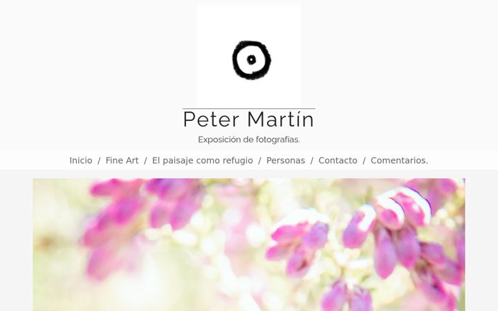 Screenshot of gpetermartinc.com