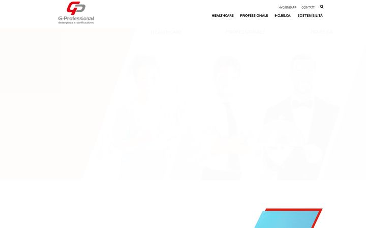 Screenshot of gprofessional.eu