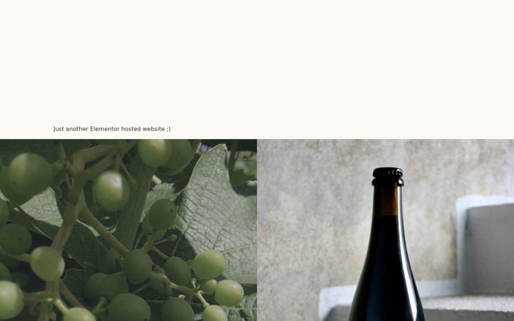 Screenshot of graanakke.dk