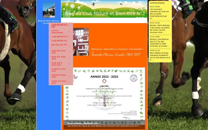 Screenshot of gracielaolivera-curotti-phd.fr