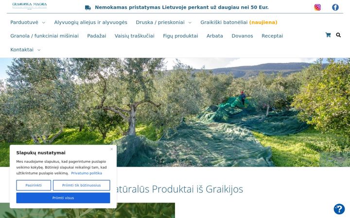 Screenshot of graikiskamagija.lt