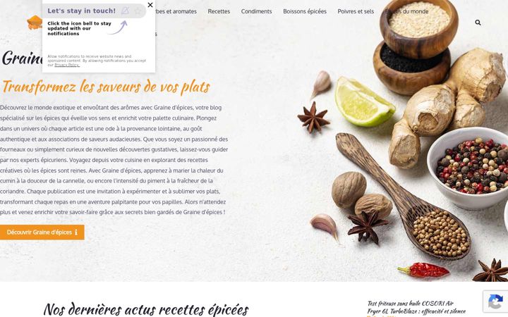 Screenshot of grainedepices.fr