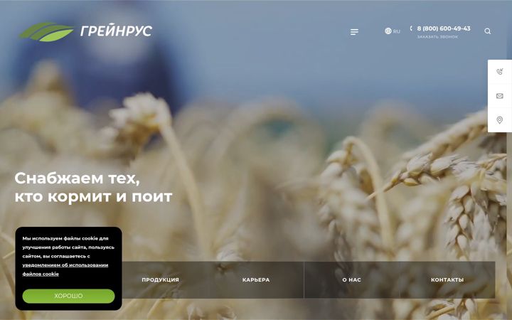 Screenshot of grainrus.com