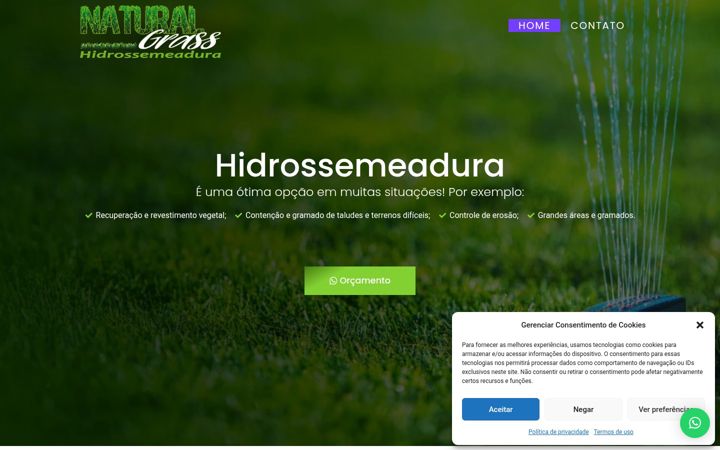 Screenshot of gramanatural.com.br