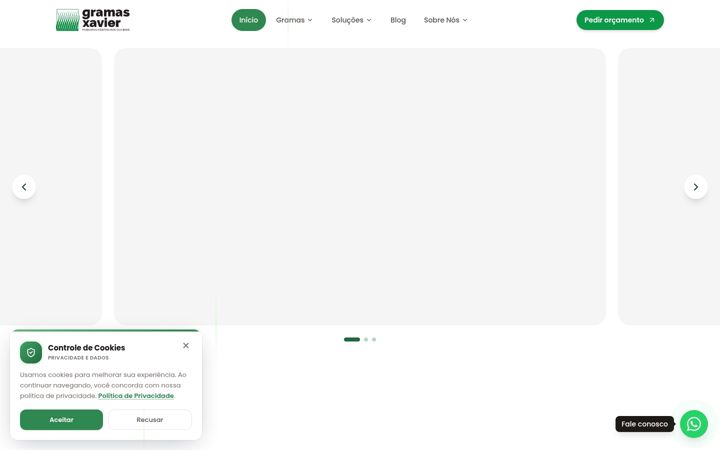 Screenshot of gramasxavier.com