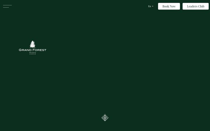 Screenshot of grand-forest.gr