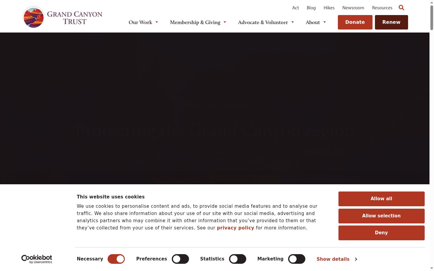 Screenshot del banner di consenso mostrato prima di qualsiasi interazione