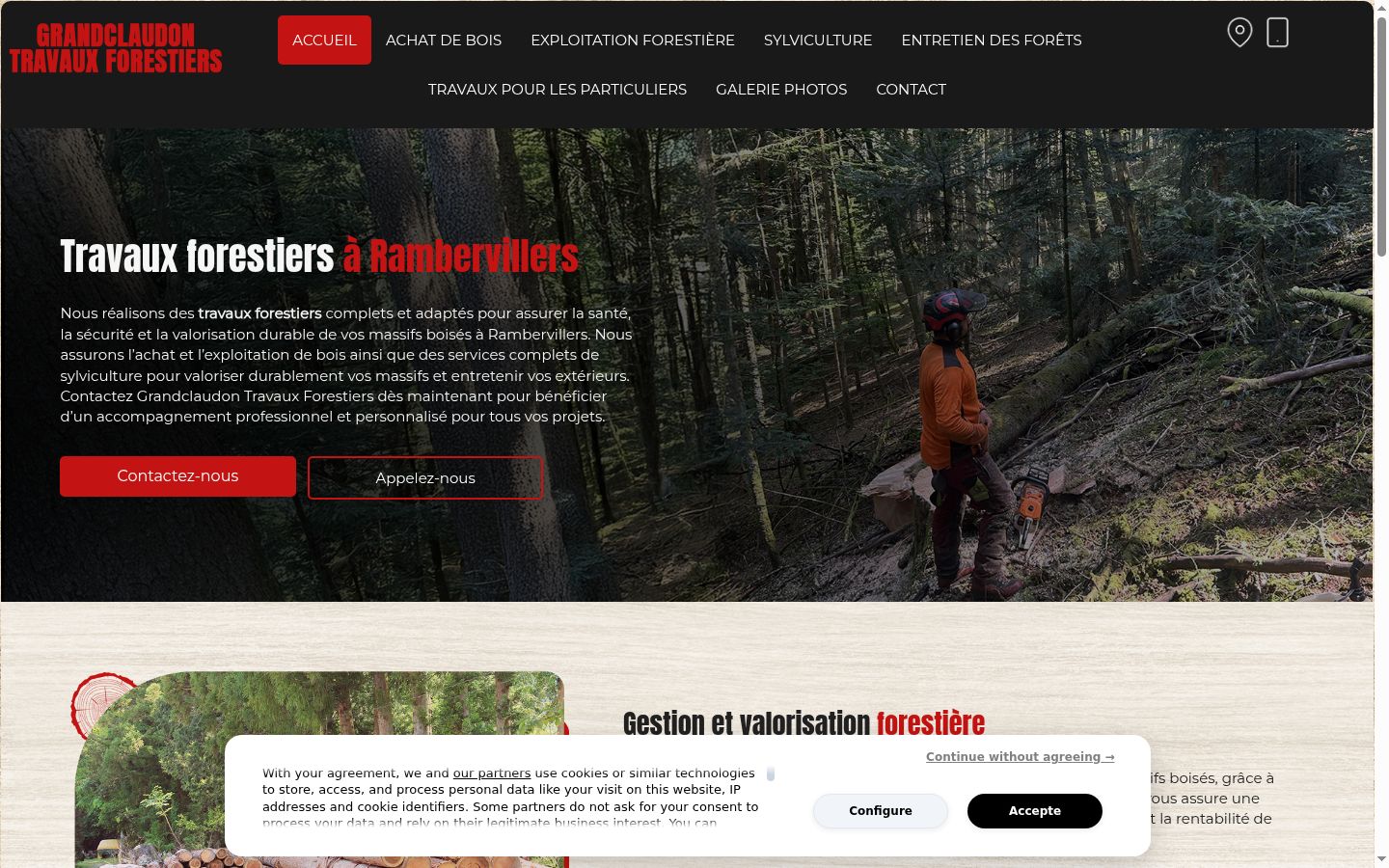 Screenshot of the consent banner shown before any interaction