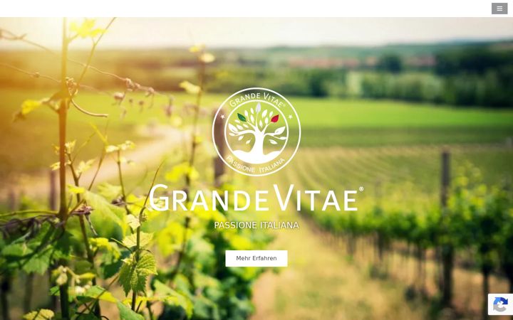 Screenshot of grandevitae.de
