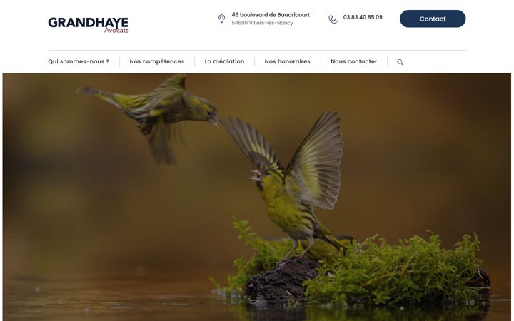 Screenshot of grandhaye-avocats-nancy.fr