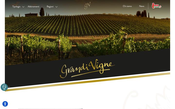 Screenshot of grandivigne.it