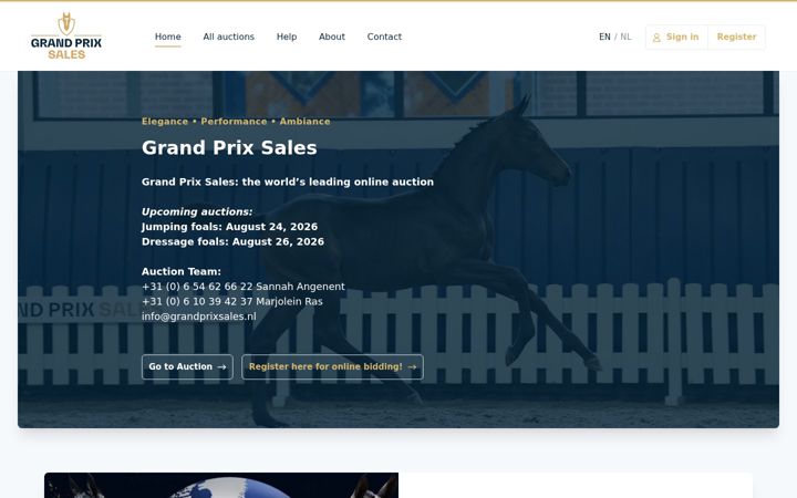 Screenshot of grandprixsales.nl