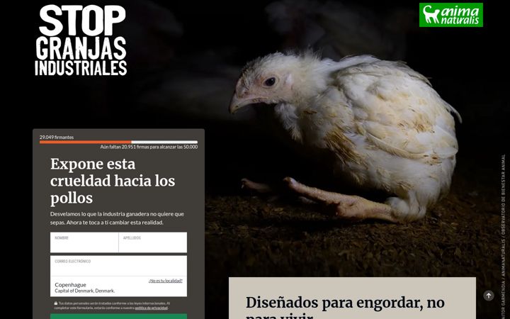 Screenshot of granjas.org