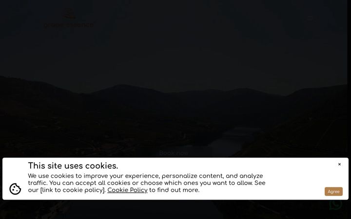 Screenshot of grape-essence.com
