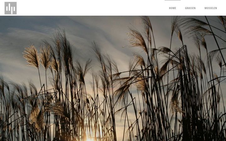 Screenshot of grasenzo.nl