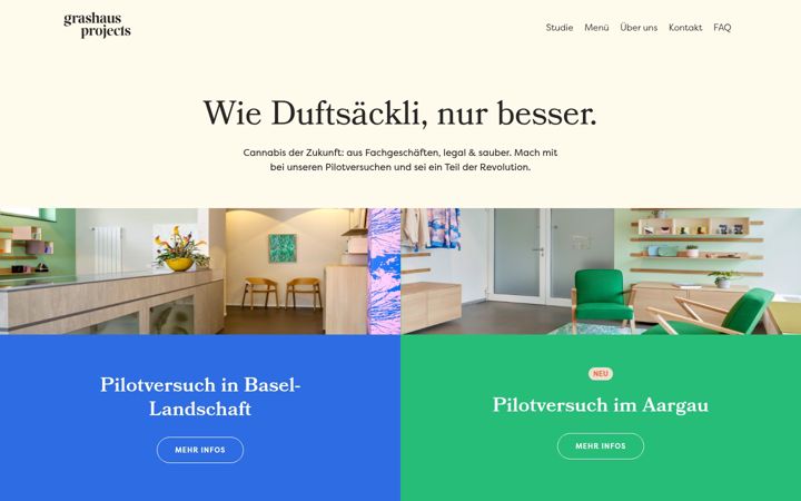 Screenshot of grashausprojects.ch