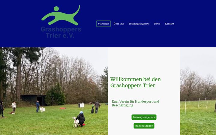 Screenshot of grashopper-trier.de