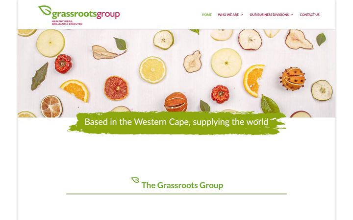 Screenshot of grassrootsgroup.co.za