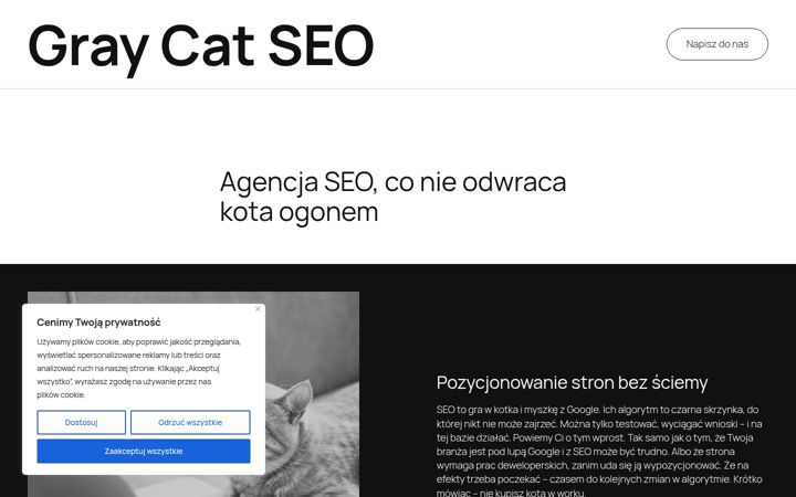 Screenshot of graycatseo.pl