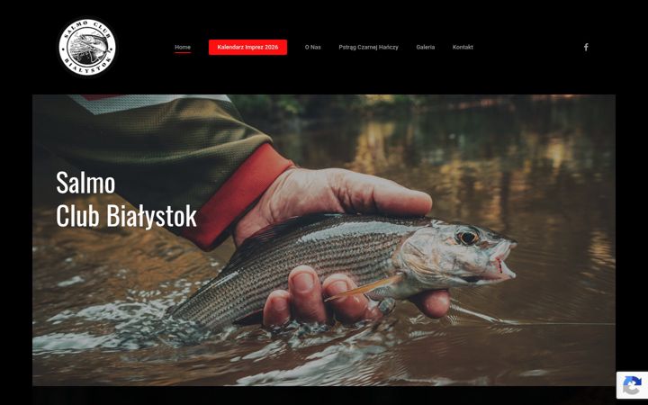 Screenshot of grayling.com.pl