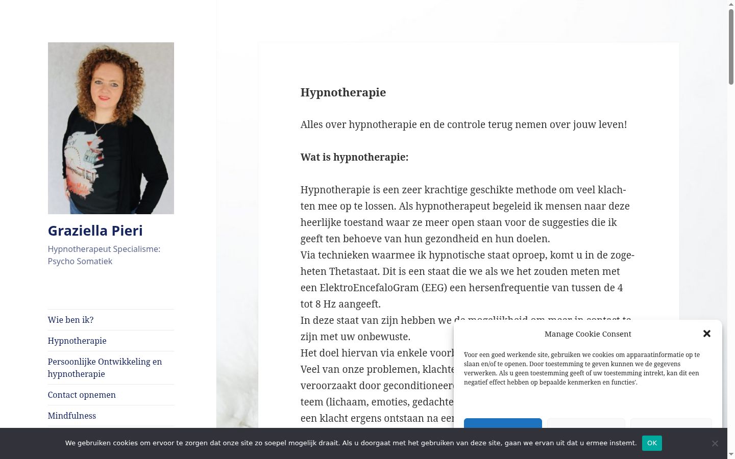 Skærmbillede af samtykkebanneret, som det blev vist før nogen interaktion